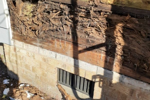 Virginia EIFS Inspections www.eifswallsystems.com