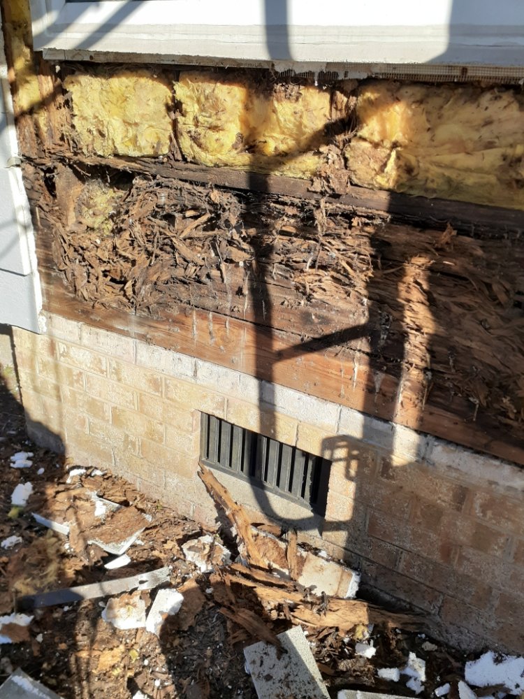 Virginia EIFS Inspections www.eifswallsystems.com